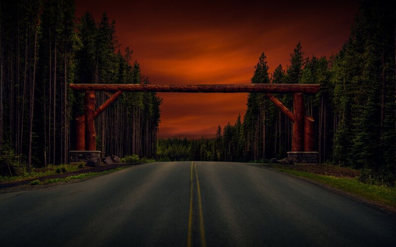 Road Through Forest — Orange