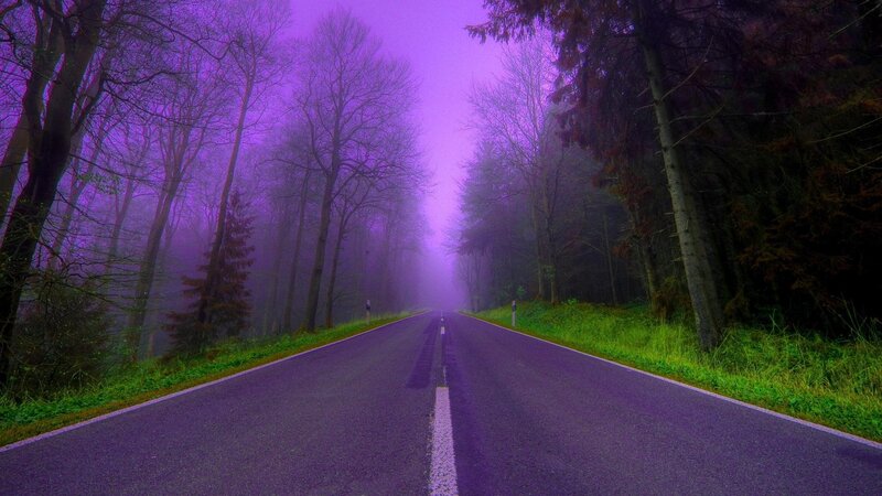 Road Through Forest — Purple, Mysterious