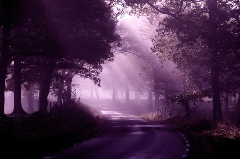 Road Through Forest — Purple