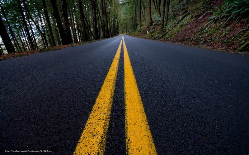 Road through forest