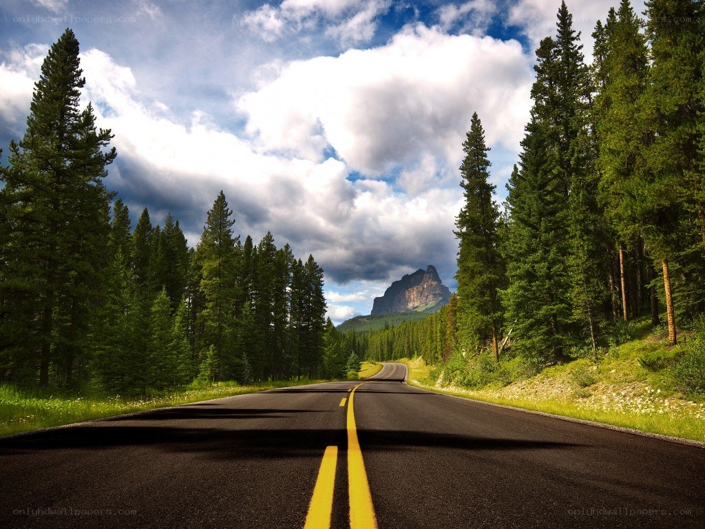 Road through forest to mountain