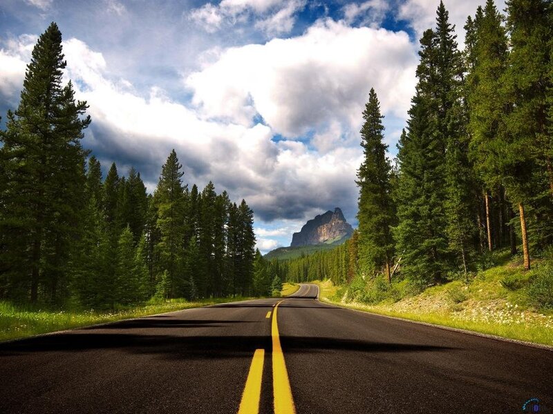Road through forest to mountain