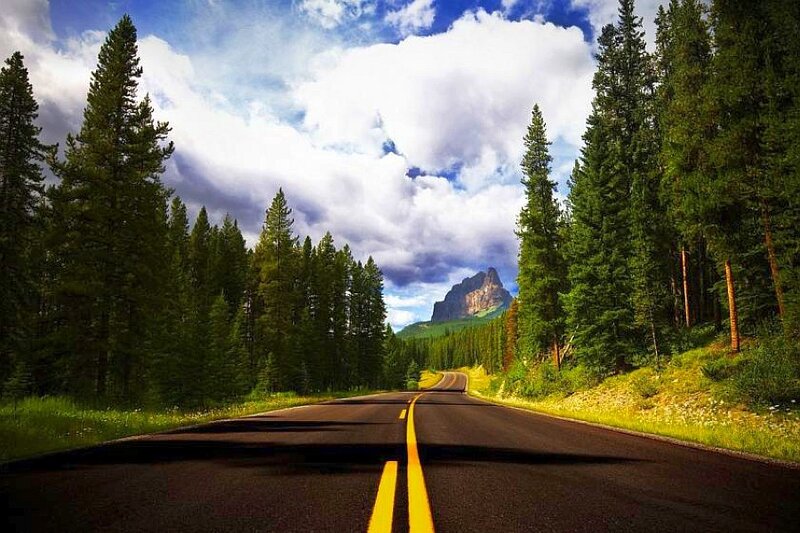 Road through forest to mountain