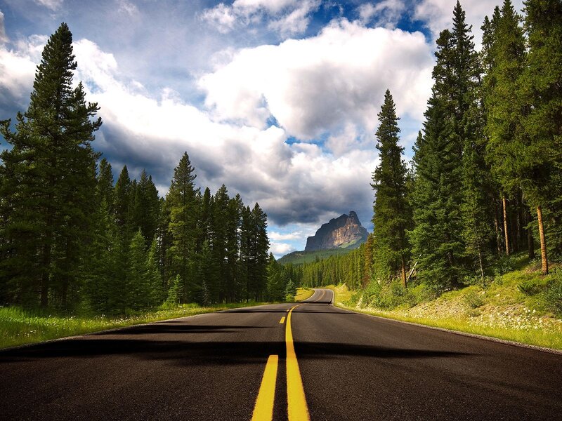 Road through forest to mountain