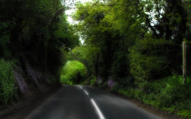 Road Through Forest Tunnel — Green, Serene, Spring