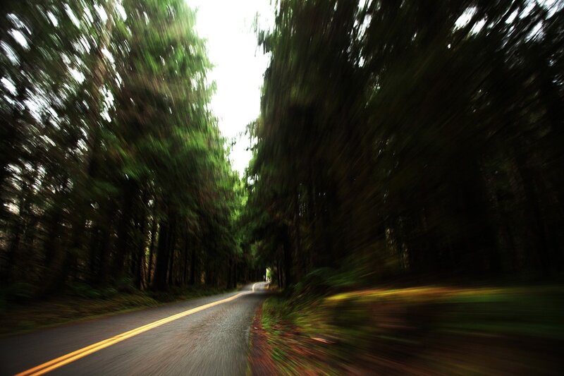Road through forest with motion blur