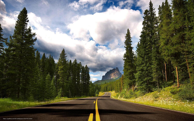 Road through forest with mountain