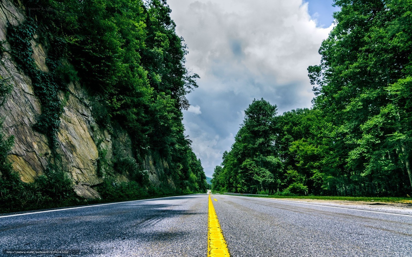 Road through forested mountain pass