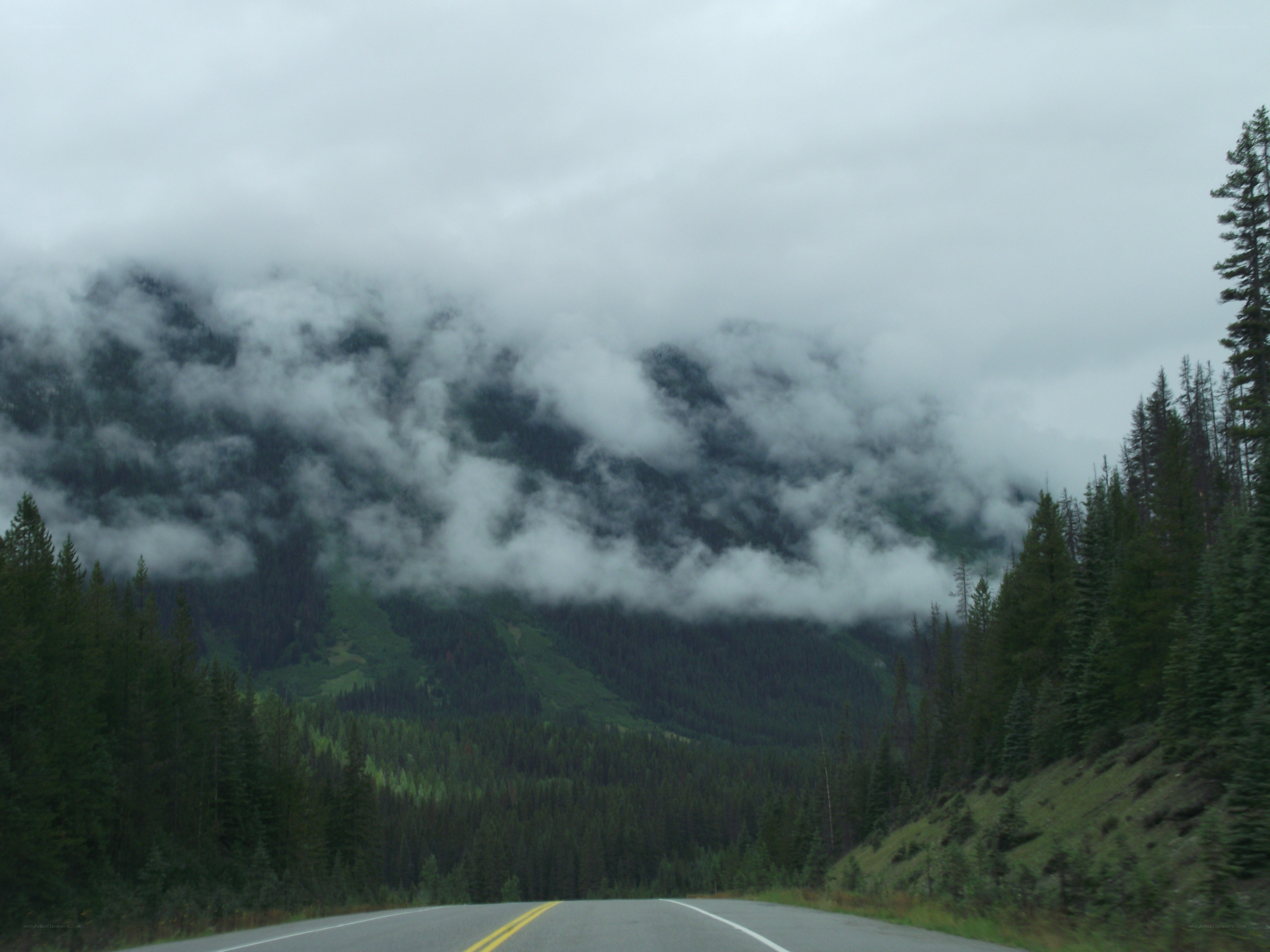 Road through forested mountains