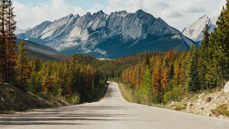 Road Through Forested Mountains — Green