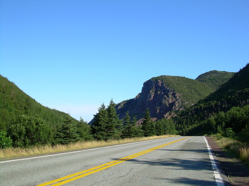 Road through forested mountains