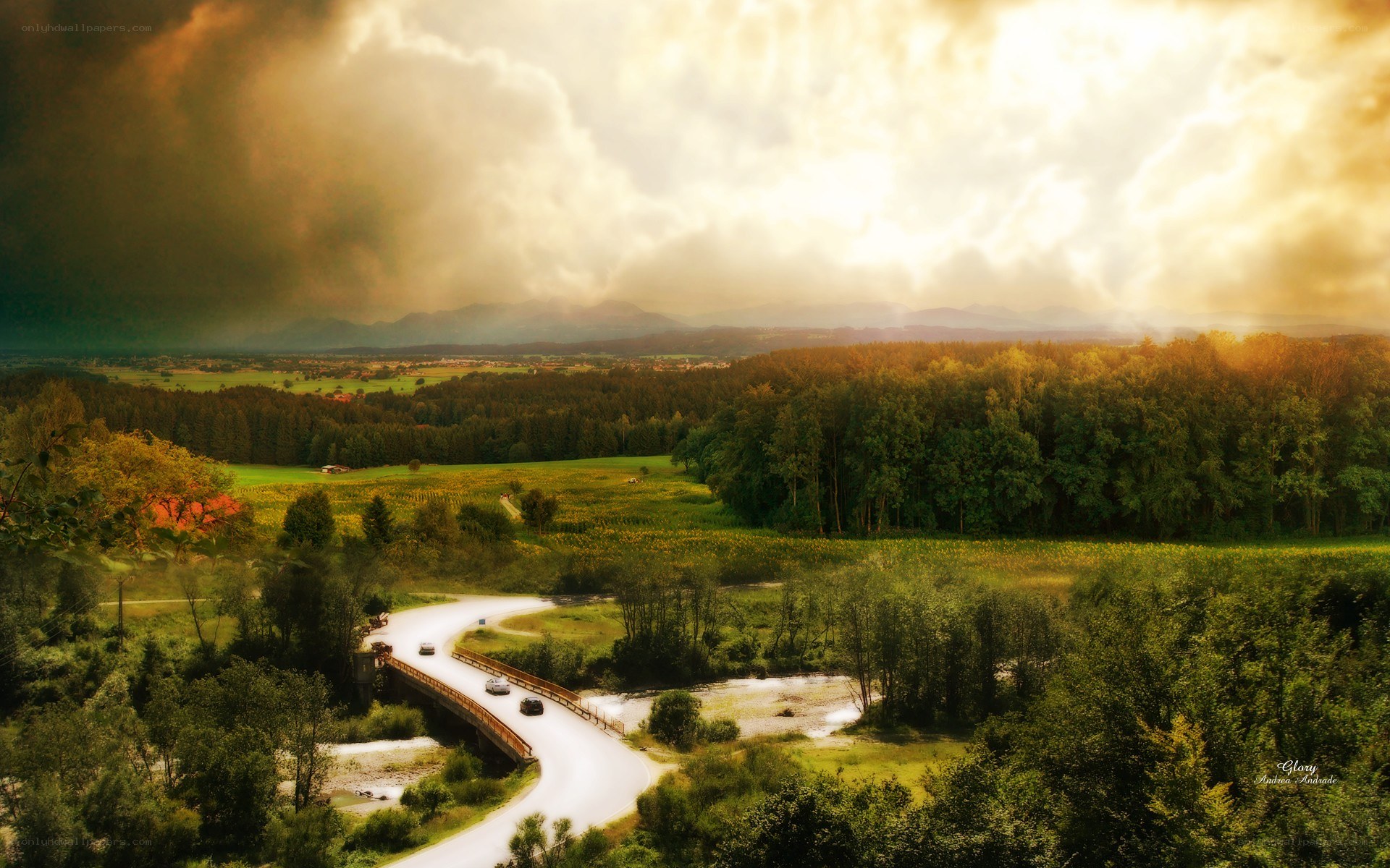 Road through forested valley