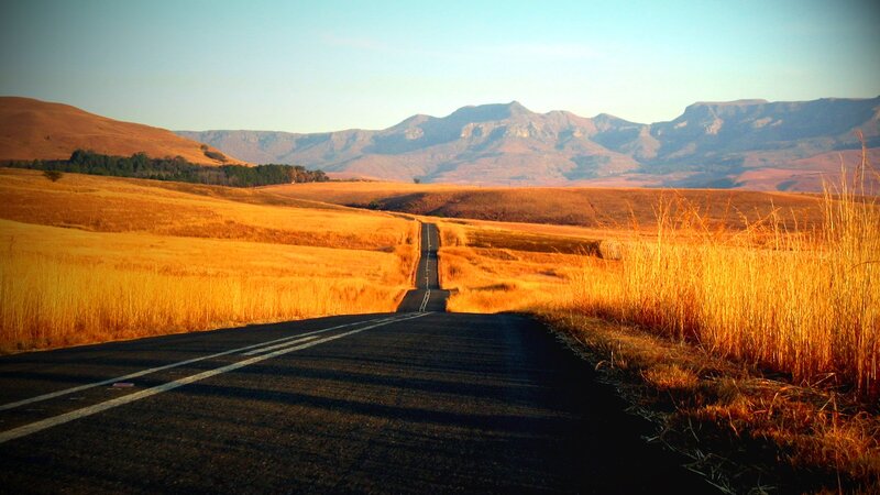 Road Through Golden Fields — Gold, Serene