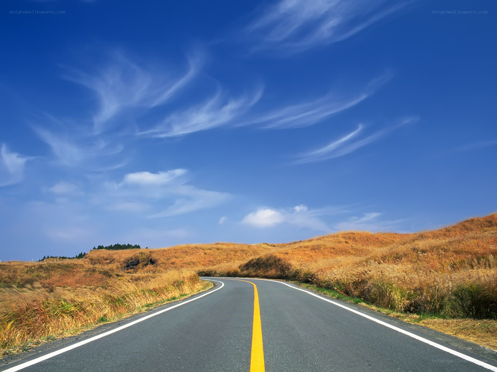 Road through golden hills