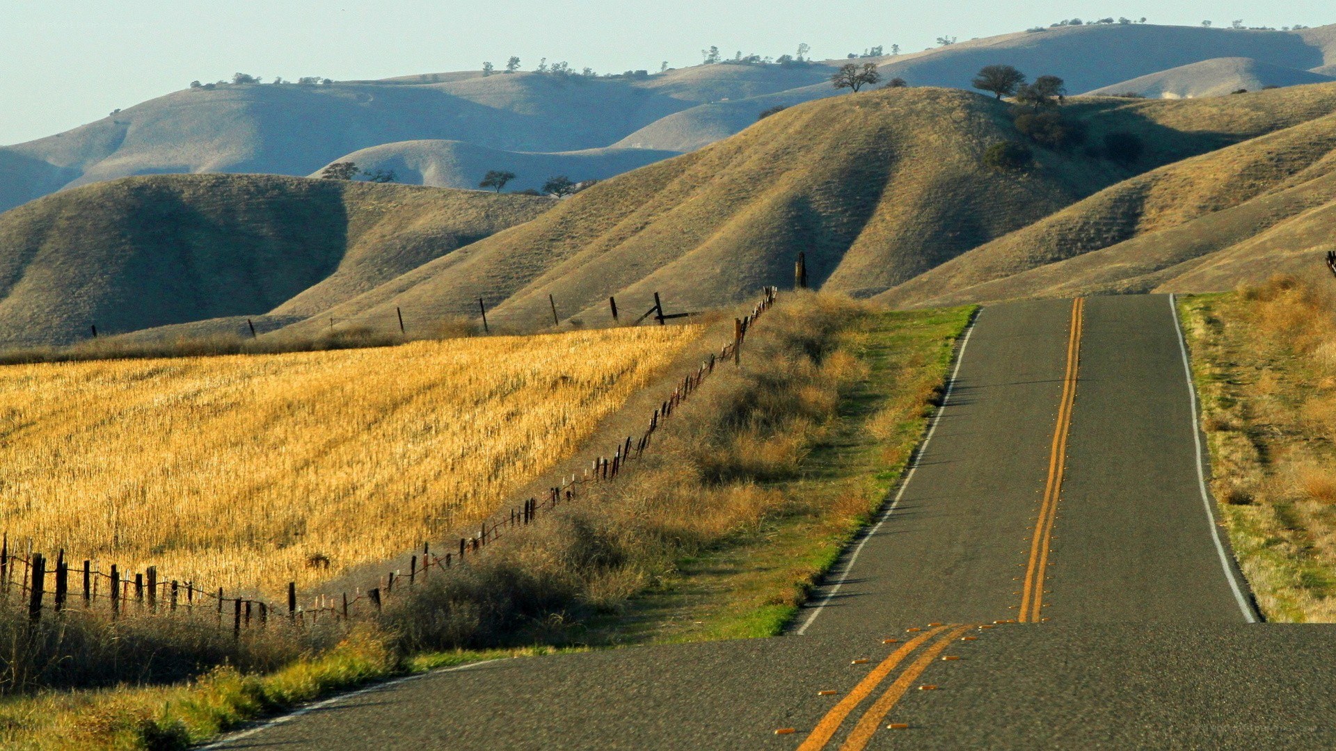 Road through golden hills