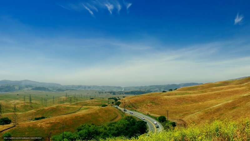 Road through golden hills