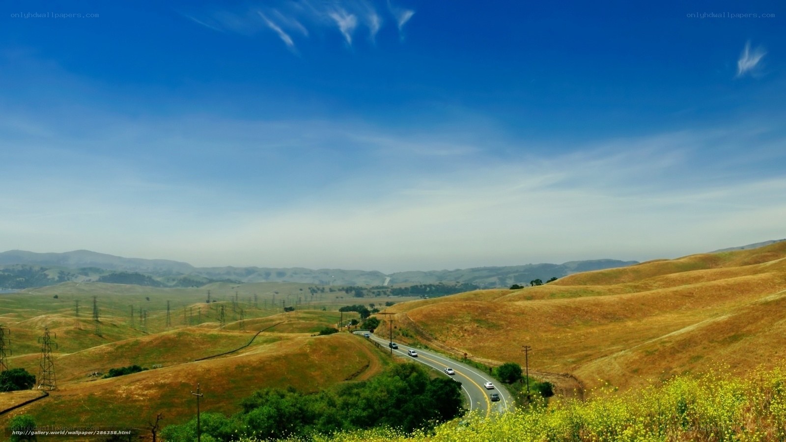 Road through golden hills