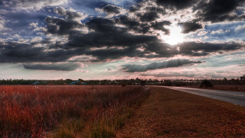 Road Through Grassy Field