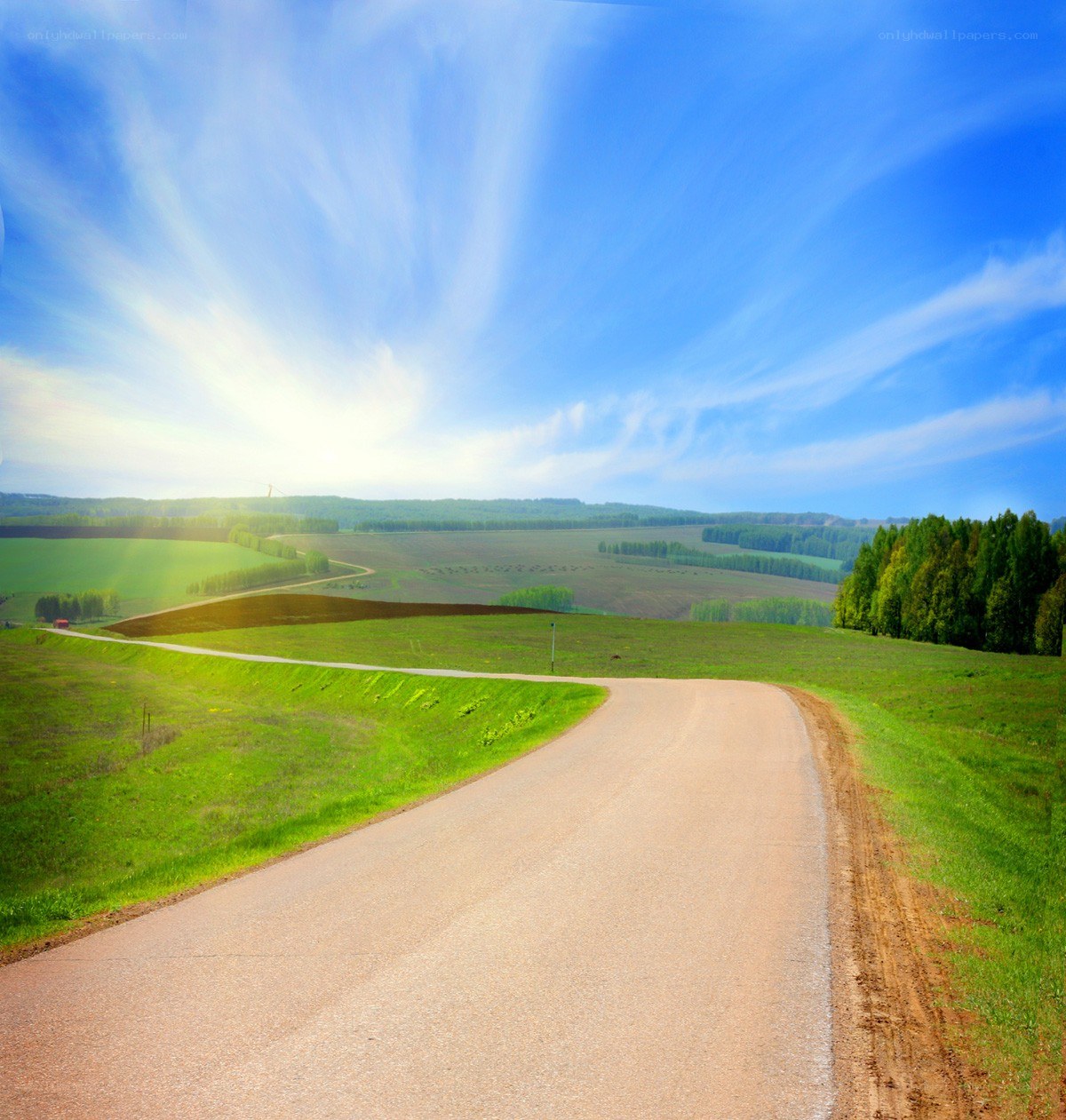 Road through green countryside
