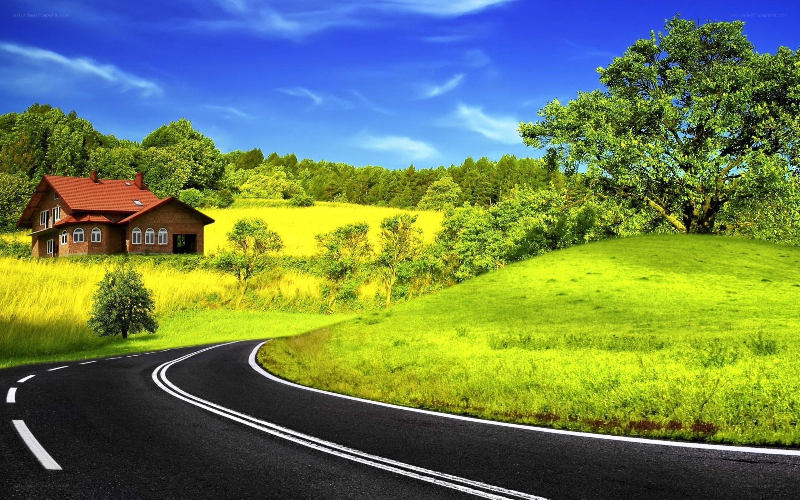 Road through green countryside