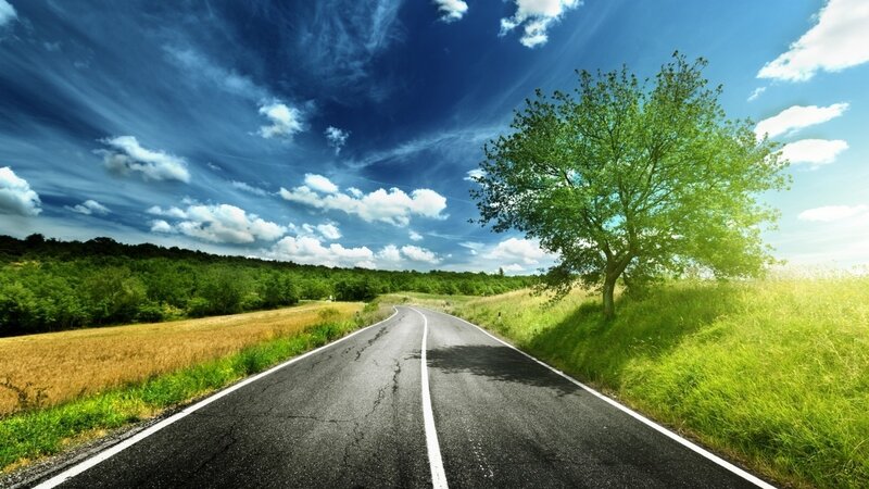 Road through green fields
