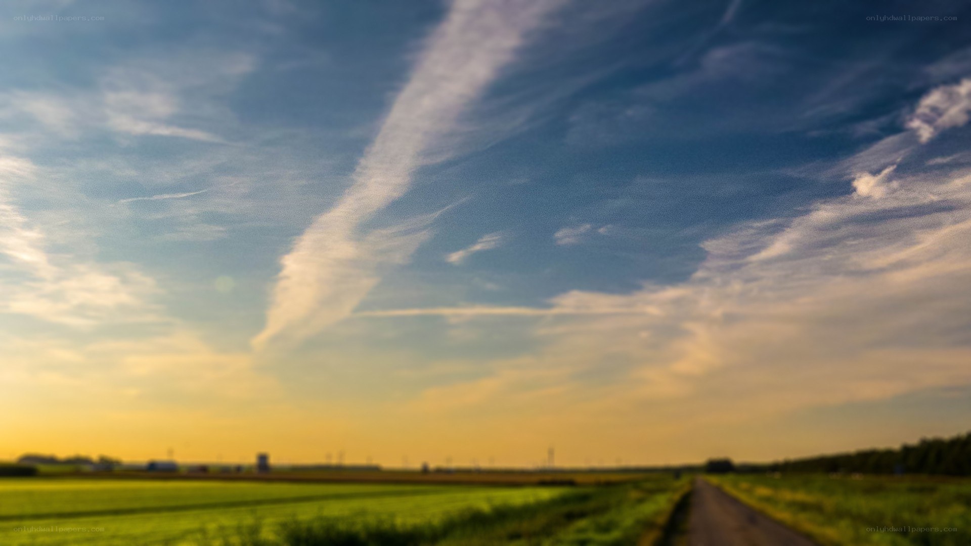 Road through green fields at sunset