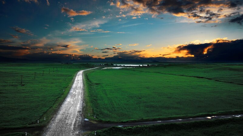 Road through green fields at sunset