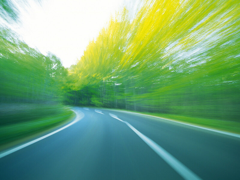 Road through green forest