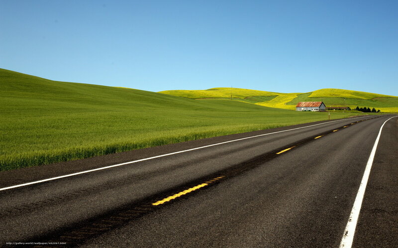 Road through green hills