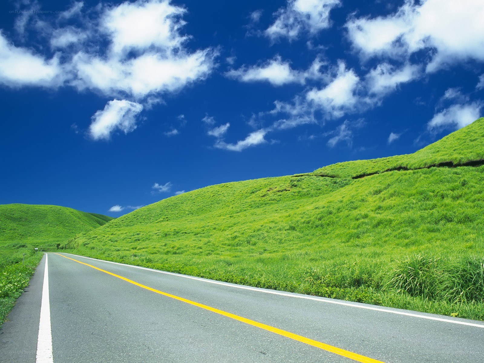 Road through green hills