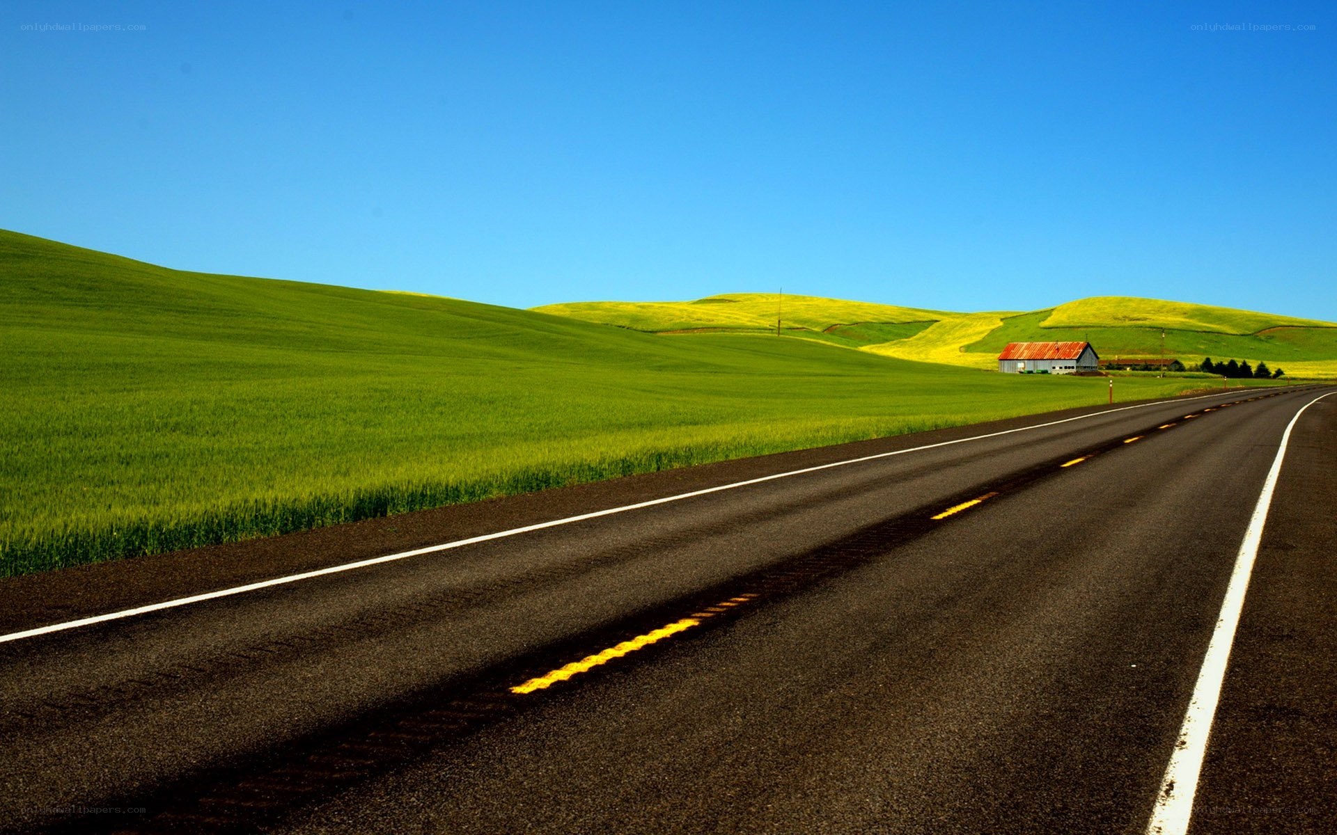 Road through green hills