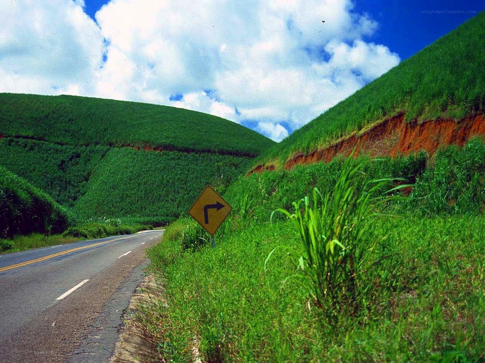 Road through green hills