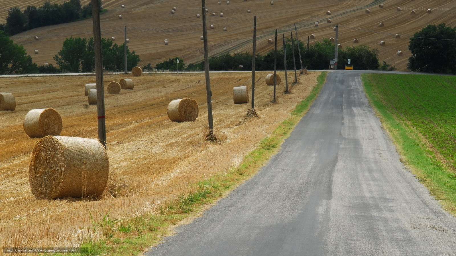 Road through hay bale fields