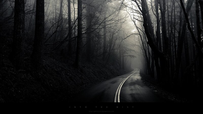 Road Through Misty Forest — Black