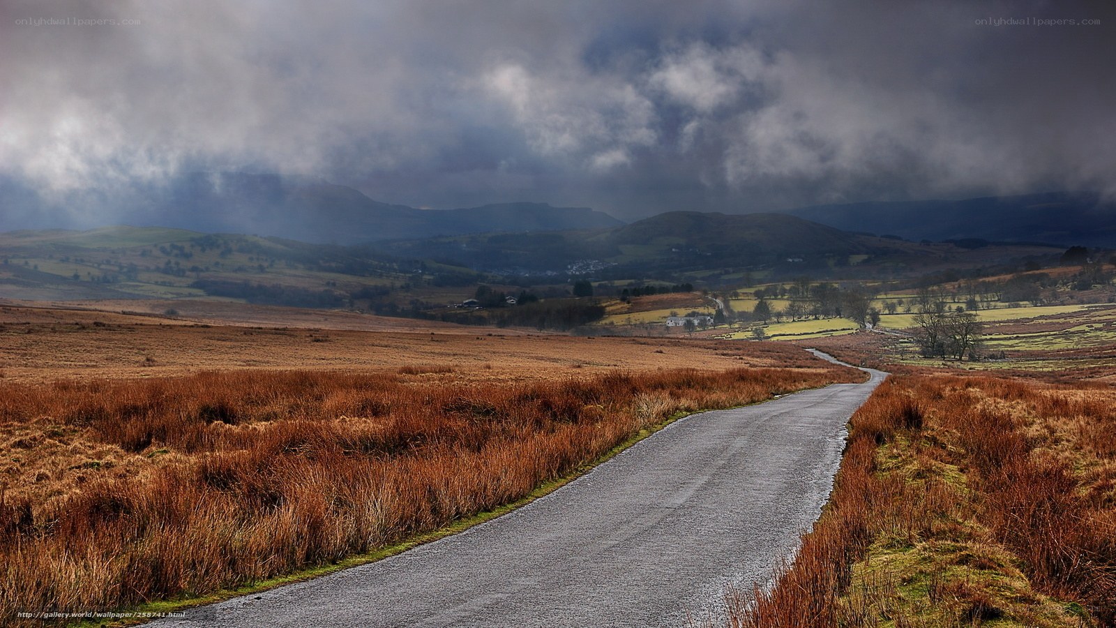 Road through moorland landscape