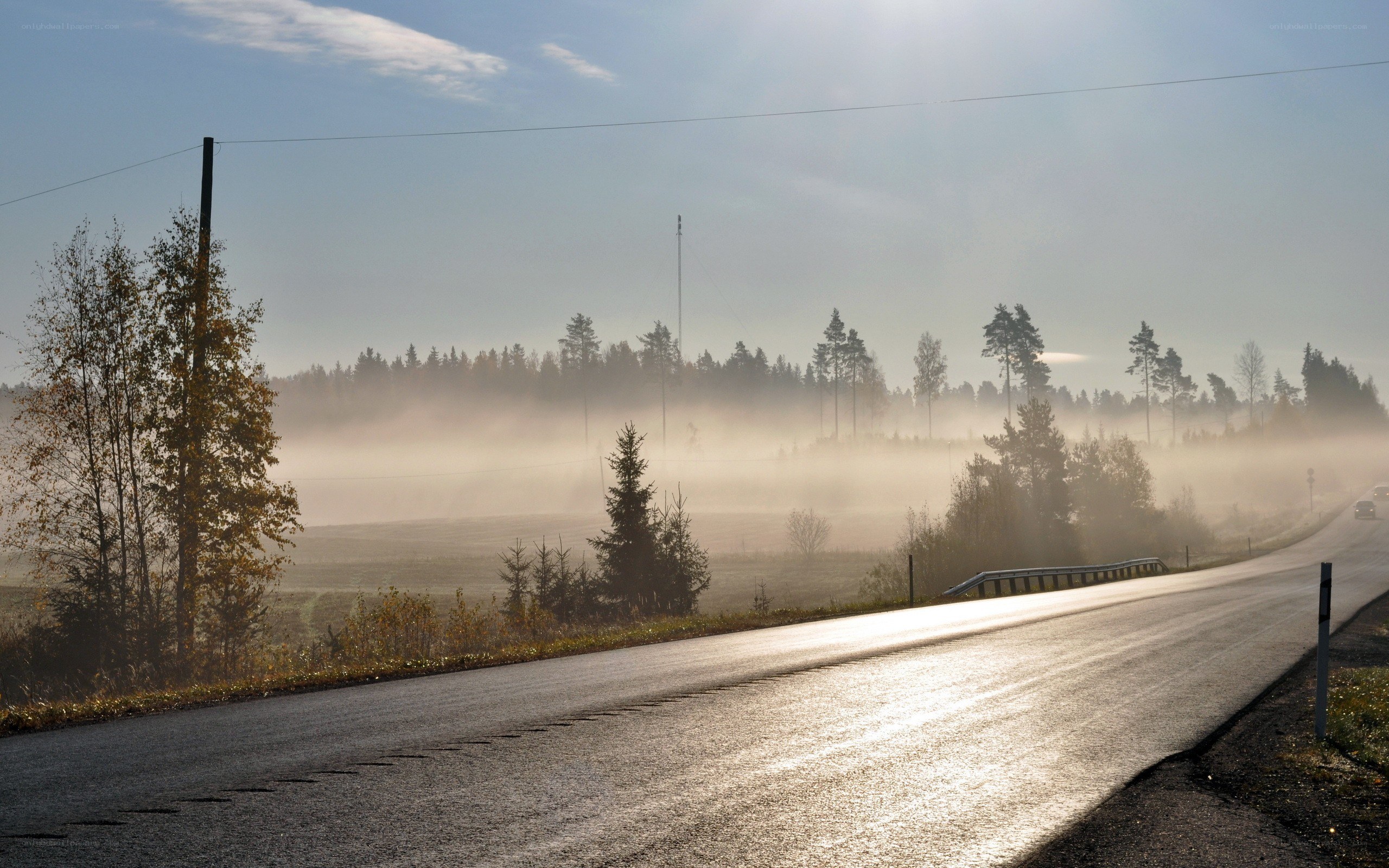 Road through morning mist
