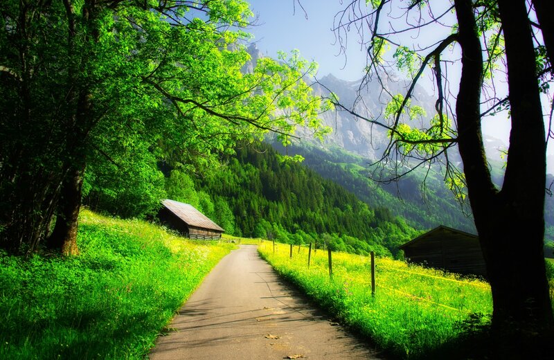 Road Through Mountain Valley — Green, Serene, Afternoon, Photograph, Trees