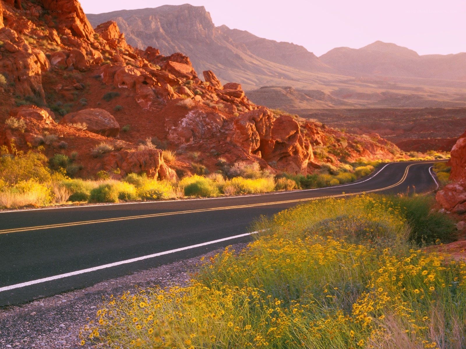 Road through red rock canyon