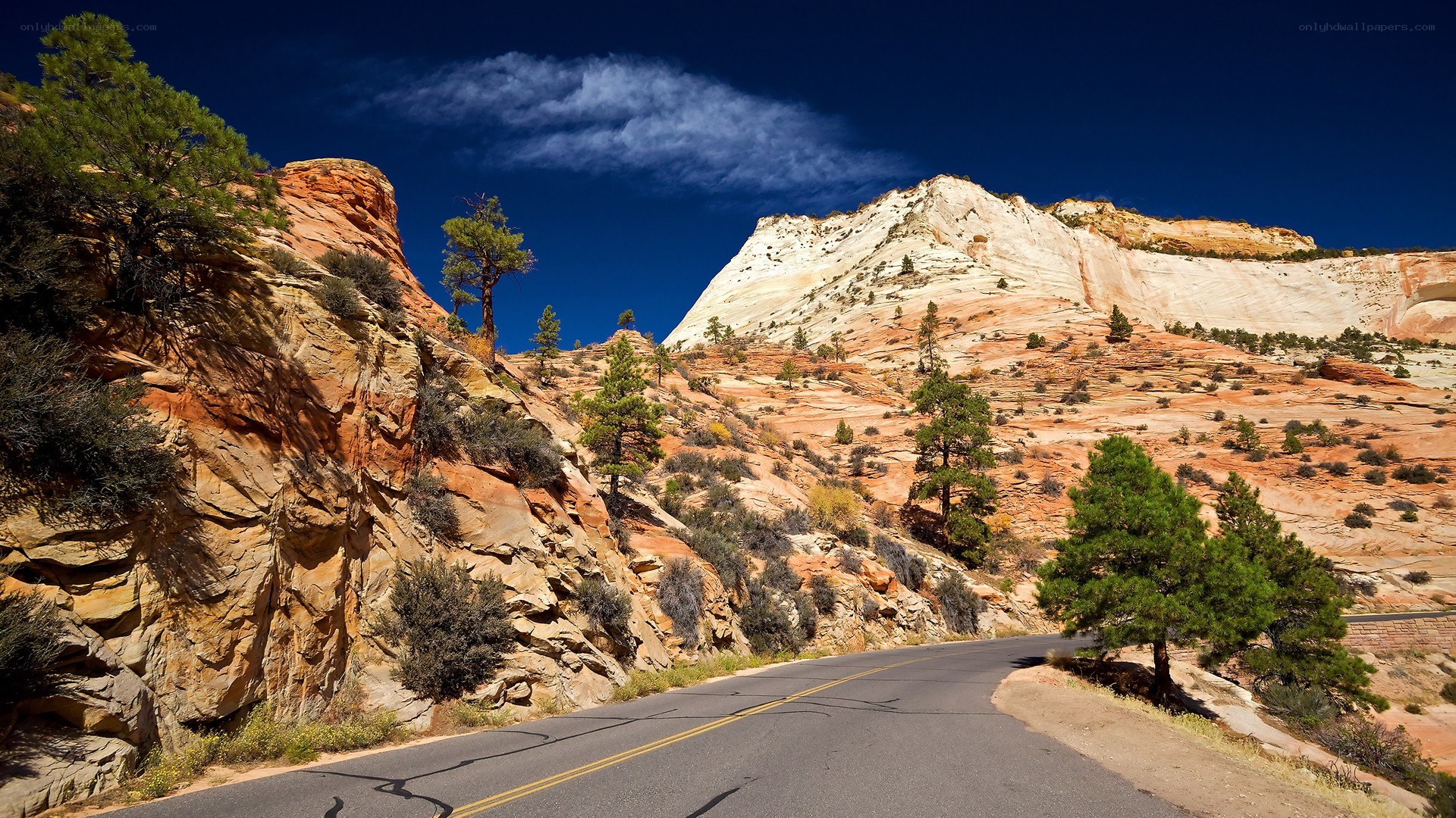 Road through red rock canyon