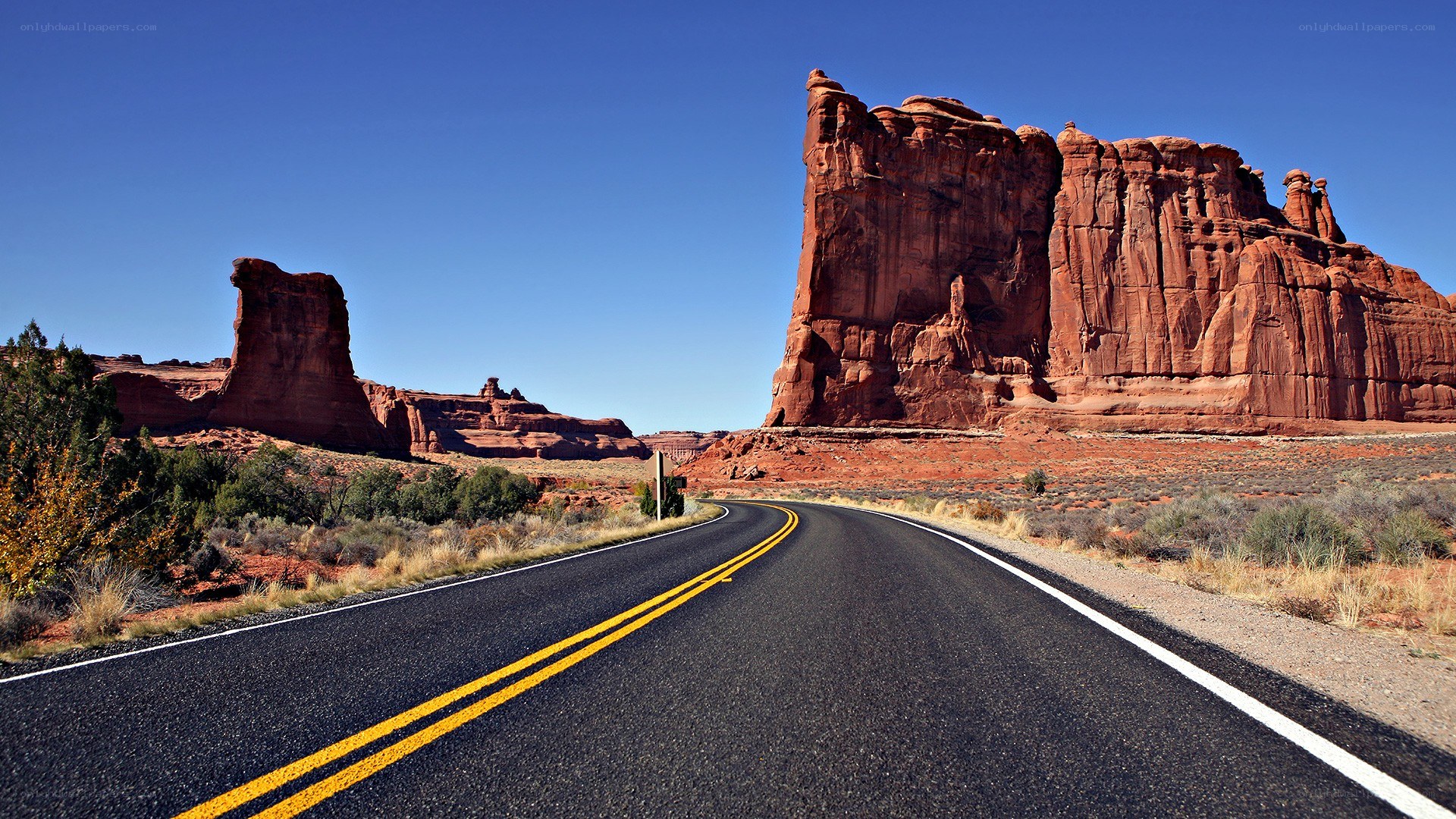 Road through red rock canyon