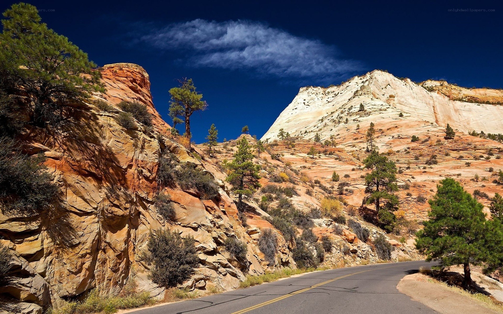 Road through red rock canyon
