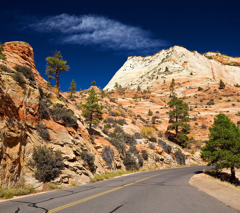 Road Through Red Rock Canyon — Blue