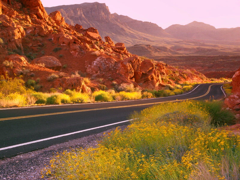 Road Through Red Rock Canyon — Serene