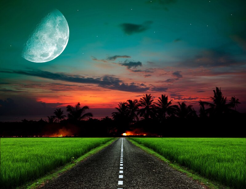 Road Through Rice Fields — Green, Dramatic, Night, Digital Art