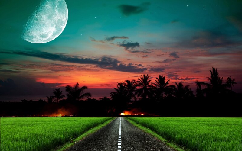 Road Through Rice Fields — Green, Dramatic, Night