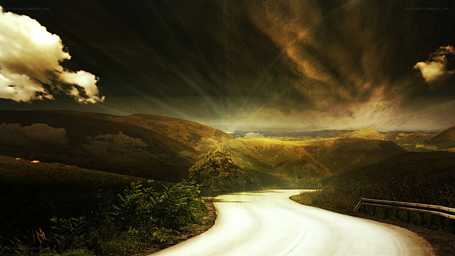 Road through rolling hills at sunset