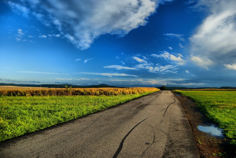 Road through rural fields