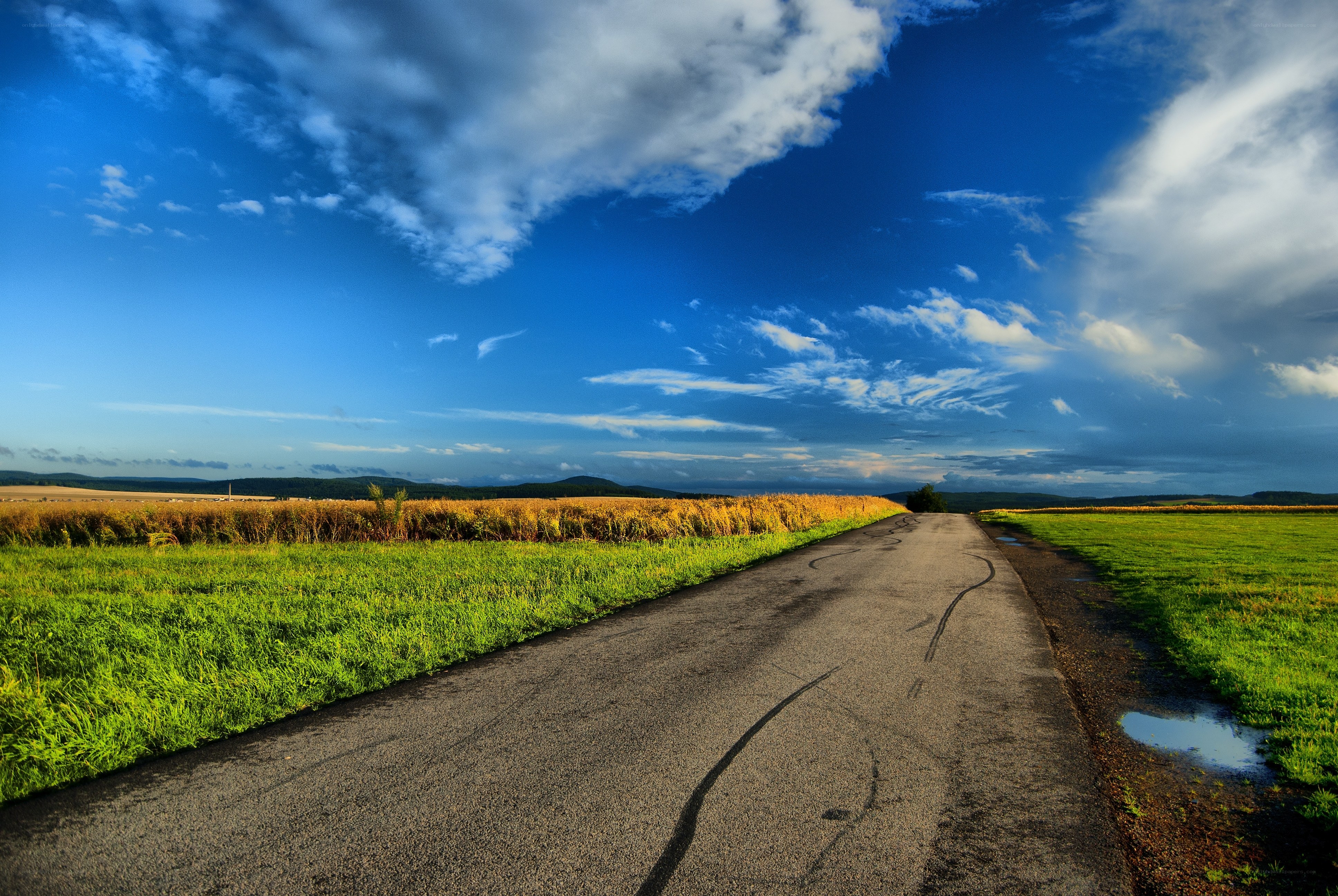 Road through rural fields