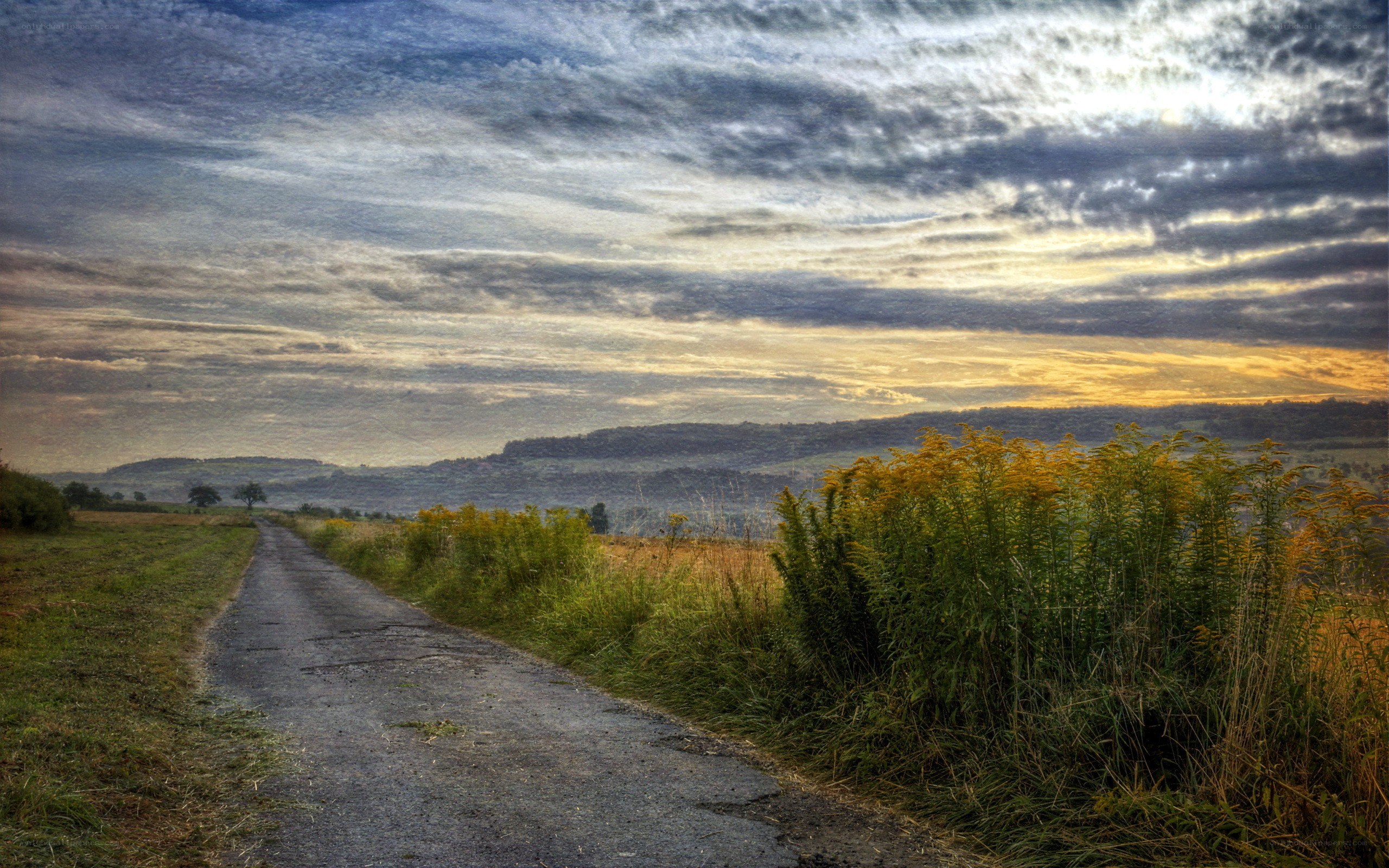 Road through rural landscape at sunset
