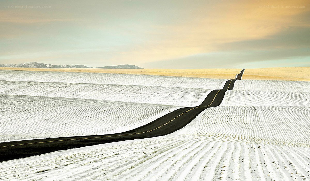 Road through snowy fields